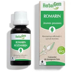 Herbalgem - Rosmarin Bio - Nahrungsergänzungsmittel - Frischer Knospen Extrakt - Für Verdauung, Drainage, Entgiftung - 30 ml