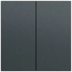 Gira 329573 Wippe 2-fach, System 70, anthrazit (lackiert)