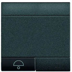 BTicino L4915M2AN LivingLight Symbolwippe 2M LAMPE Anthrazit