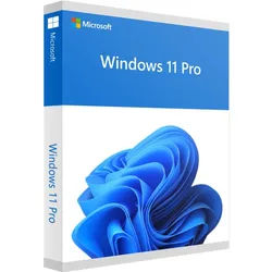Microsoft Windows 11 Pro 64-Bit EN
