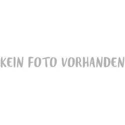 101031 Schraube K4x16 vz Kopf-dm 6,5 m SPRiNTUS