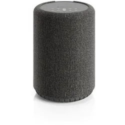 Audio Pro A10 MKII W Dunkelgrau Lautsprecher grau