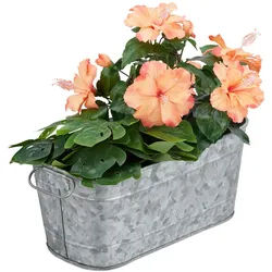 Relaxdays Blumenkasten , Silberfarben , Metall , 38x16x19 cm , Dekoration, Blumen & Blumentöpfe, Übertöpfe