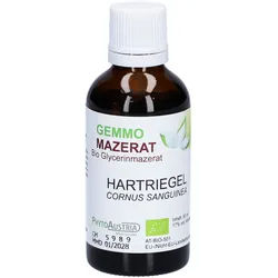 Gemmo Mazerat Hartriegel