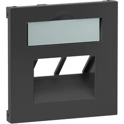 Legrand 765459 SEANO Abdeckung 2x RJ45 für Datendosen von Metz, Telegärtner und Rutenbeck inklusive Beschriftungsfeld, anthrazit lackiert