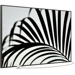 STEINFELD Heizsysteme Infrarotheizung Bild 900W, 120x74cm, Made in Germany, 7J Garantie, mit Thermostat, viele Motive schwarz