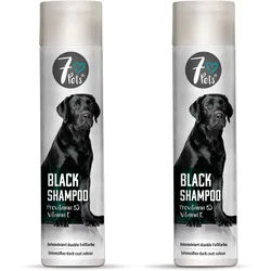Silberkraft Black Shampoo 2x250 ml