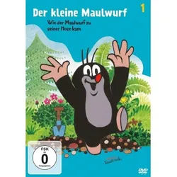 DVD Der kleine Maulwurf F.1 - ... zu seiner Hose kam
