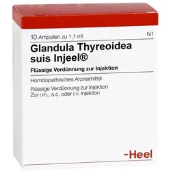 Glandula thyreoidea suis injeel Ampullen 10 St.