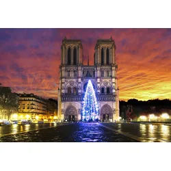 Papermoon Fototapete VLIES-Tapete Premium "Notre Dame Sonnenaufgang", Kleister KOSTENLOS, reduziert, 3D-Effekt, restlos trocken abziehbar, (1049), Wandtapete Bild Dekoration Wand-Dekor Motiv Tapete Poster 1.5 m x 1.11 m