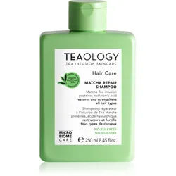 Teaology Matcha Tea Repair Shampoo Shampoo zur Haarstärkung 250 ml