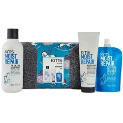 KMS Moistrepair Set