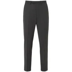 Thomas Goodwin Anzughose Hose im Modern-Fit, 3938-1-20030 grau 24