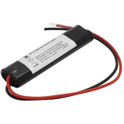 Notleuchtenakku NiMH 4,8V 600mAh L2x2 Micro AAA mit 200mm Kabel