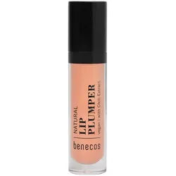 Lip Plumper 4,8ml