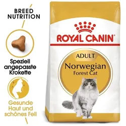 ROYAL CANIN Norvegian Forest Cat Adult 2kg + Überraschung für die Katze