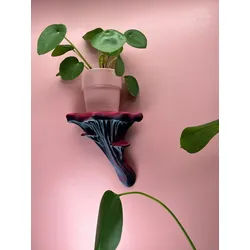 Roomberry Deko-Wandregal Schwebendes Austernpilz Wandregal, Deko Wandregal Pilz, M/L/XL, Hergestellt in Deutschland in unserer eigenen Manufaktur rot|schwarz