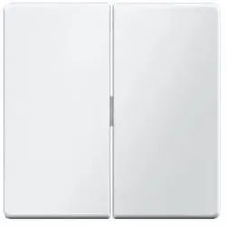 Berker 16236089 Wippe 2-fach, Q.x, polarweiß samt