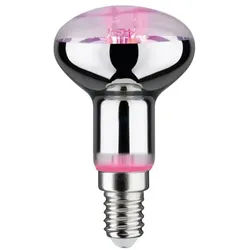 Paulmann 28734 LED Reflektor Plant R50 E14 6.5W