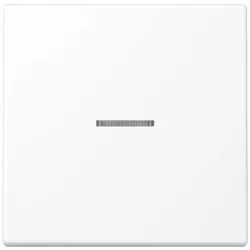 JUNG HOME Taster 1fach, Duroplast lackiert, Serie LS, schneeweiß matt