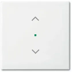 Busch-Jaeger 6232-10-914 Wippe 1-fach mit Symbol Jalousie