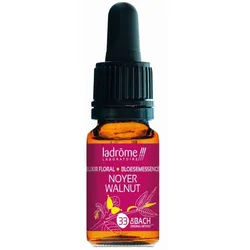 Ladrôme Walnussbaum Nr. 33