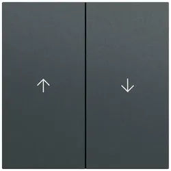 Gira 329473 Wippe 2-fach mit Pfeilsymbol, System 70, anthrazit (lackiert)