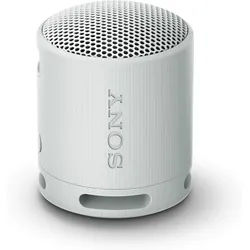 Sony SRS-XB100H BT-Lautsprecher, Grau