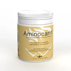 AMINOCARIN Pulver Dose 400 g