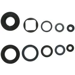 Motorsimmerringsatz ATHENA P400220400125