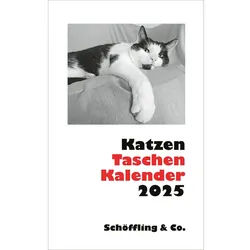 Wandkalender Katzen Taschenkalender 2025