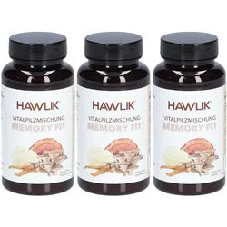 Hawlik Vitalpilzmischung Memory Fit mit Ginkgo und Bio-Pilzen