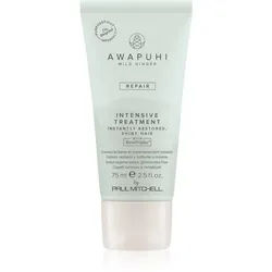 Paul Mitchell Awapuhi Wild Ginger Repair Intevsive Treatment intensive Haarkur für beschädigtes Haar 75 ml