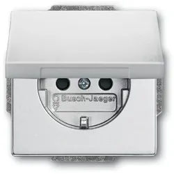 Busch-Jaeger 20 EUK-83 Schutzkontakt-Steckdose mit Klappdeckel, mit Befestigungskrallen, aluminium silber matt, Plattform 63