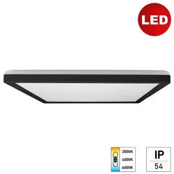 E2 Wand-/Deckenleuchte »TWICE up&down IP54 CCT«, LED, 24 W, IP54 - schwarz