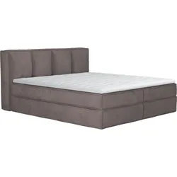 LeGer Home by Lena Gercke Boxspringbett Addyson (Härtegrade H2, H3 und H4 wählbar), Boxspringbett inkl. Topper, 2 Matratzen grau 190 cm x 230 cm