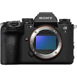 Sony Alpha ILCE 1 II + ZEISS Otus ML 85mm f1,4