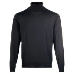 Le pull 100% laine vierge Peter Hahn gris