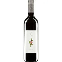 Lust & Leben Weingut Paul Achs 2023 BIO