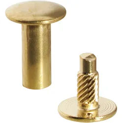 100 Buchschrauben mit Einpresskopf, vermessingt 12 mm, Metall, gold