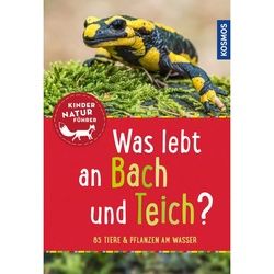 SAAN, A: WAS LEBT AN BACH UND TEICH? KINDERNATURFÜHRER - Sachbuch
