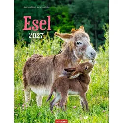Wandkalender Esel Kalender 2027