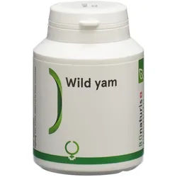 B'Onaturis Wild yam