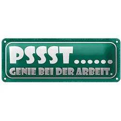 Roomando Metallschild Blechschild Spruch 27x10cm PSSST Genie bei der Arbeit Dekoration