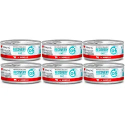 Disugual Veterinary RECOVERY Lamm Nassfutter für Katzen (Erwachsene) 6x85g