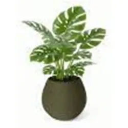 KAPKA - Flower Pot Shelter With Self-Watering System - Olive - Ø:11.5