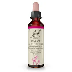 BACHBLÜTEN Star of Bethlehem Tropfen 20 ml