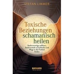 Toxische Beziehungen schamanisch heilen Buch 1 St