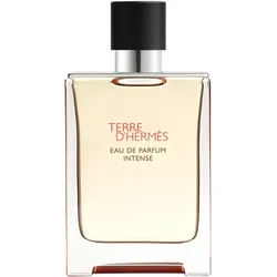 HERMÈS Terre d’Hermès Eau de Parfum Intense Eau de Parfum intense für Herren 100 ml