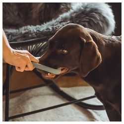 Hey Lana Outdoor-Spielzeug Hundespielzeug - Naturkautschuk (fast unkaputtbar) blau